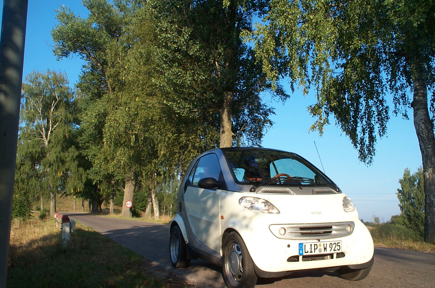 Polen Unterwegs auf einer Allee. Ich konnte mich nicht satt sehen an diesen wunderschnen Straen.