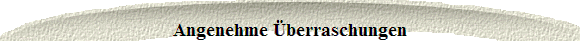  Angenehme berraschungen 