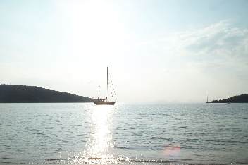 Die Bucht von Sivota, Wildrich
