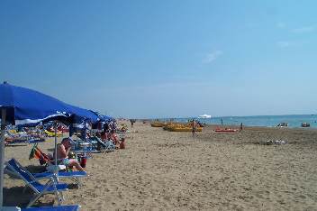 Der Strand von Bibione, Wildrich