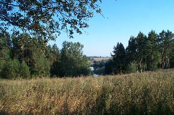 Stanziki, Wildrich