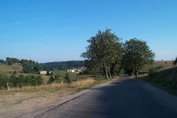 Blick nach Stanziki, Wildrich