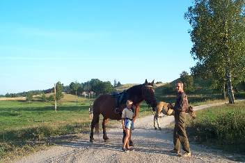Pferde sehe ich auf dieser Reise stndig., Wildrich