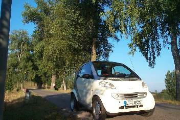 wieder unterwegs, Wildrich