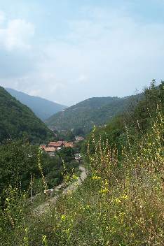 Im Balkan, Wildrich