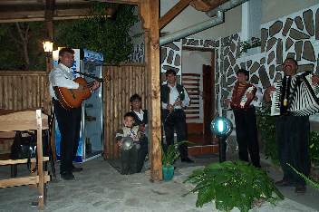 Eine Zigeunercombo in der Mehana, Wildrich