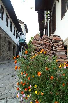 Veliko Tarnovo, Wildrich