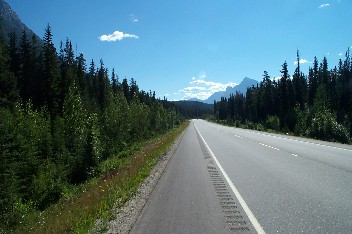 Wildrich Weltreise Jasper Nationalpark Kanada Alberta