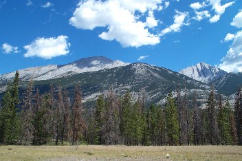 Wildrich Weltreise das sind die Auslufer der Rockies