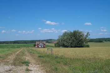 Wildrich Weltreise