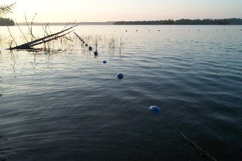 Wildrich Weltreise an einem See in Ontario