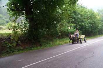 Wildrich Weltreise in Bulgarien sehe ich auch viele Eselskarren