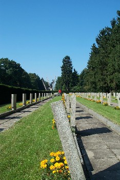 Wildrich Weltreise Friedhof in Szezecin