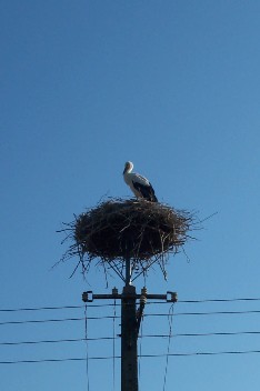 Wildrich Weltreise reichlich Strche gibt es hier