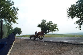 Wildrich Weltreise je weiter im Osten ich bin, ja mehr Pferdefuhrwerke sehe ich auf den Straen. Speziell in Rumnien waren sie sehr zahlreich